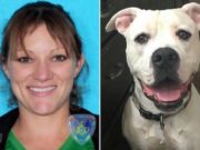 Louisiana vet shoots neighbor’s dog in the head (cause he was barking too loud). Kelly Folse