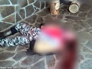 Black panther mauls to death Ukrainian man