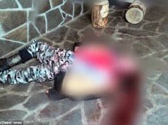 Black panther mauls to death Ukrainian man