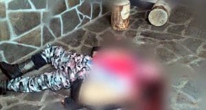 Black panther mauls to death Ukrainian man