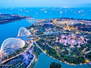 Medical Career in Singapore