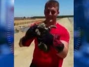 Watch: Laughing California High student arrested after throwing kitten in lake Garret Haile