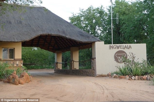 South African poacher eaten by lions