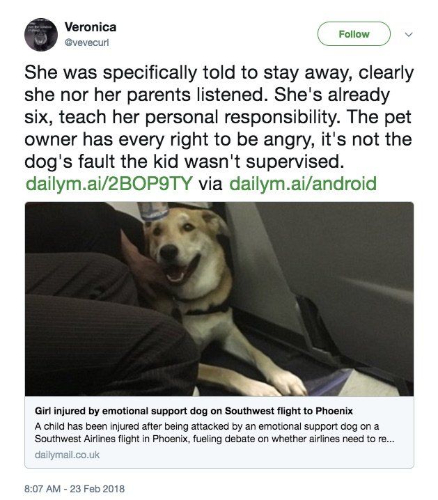 Southwest Airlines emotional support dog 