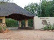 South African poacher eaten by lions