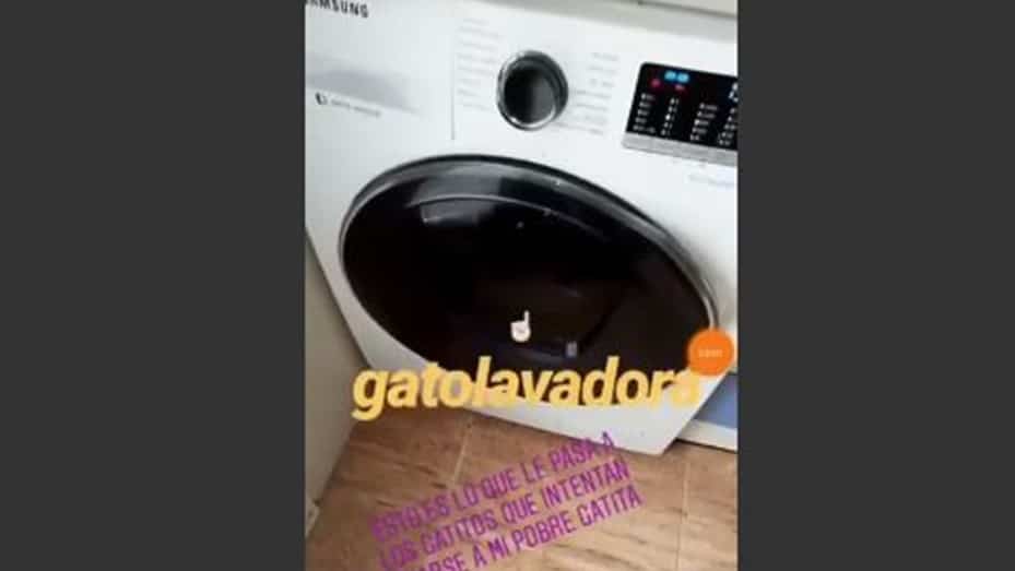 Eva María Vilchez Maldonado Cat Washing Machine video