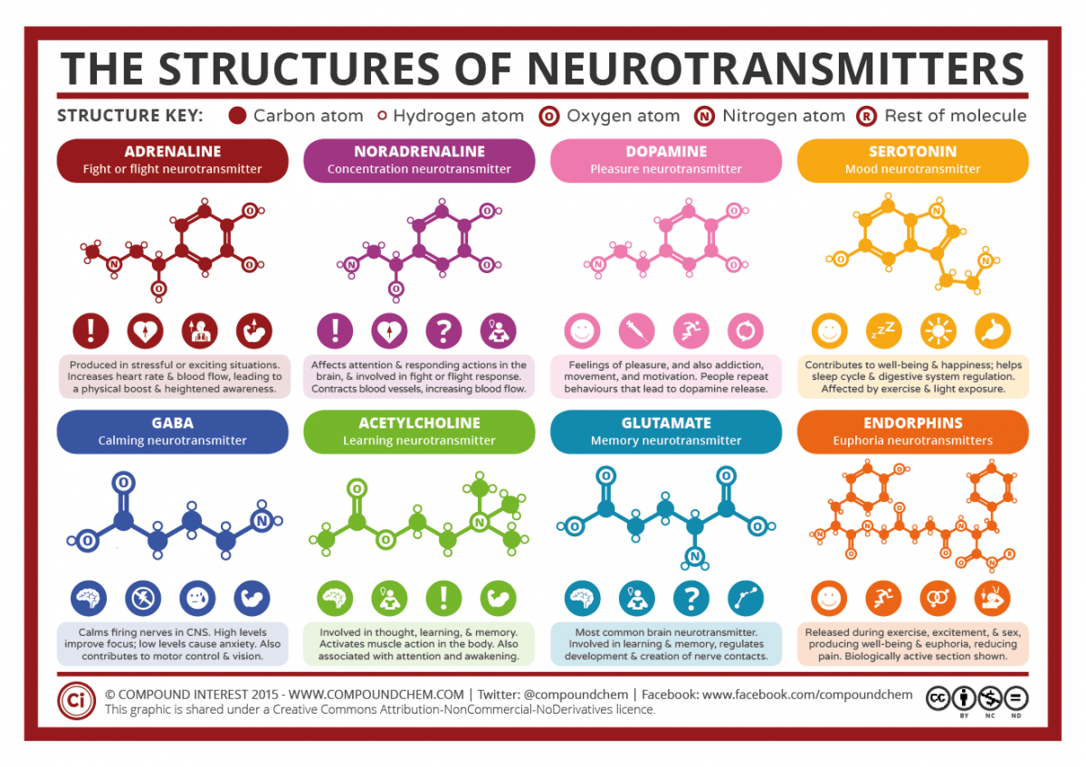 btc nootropics team