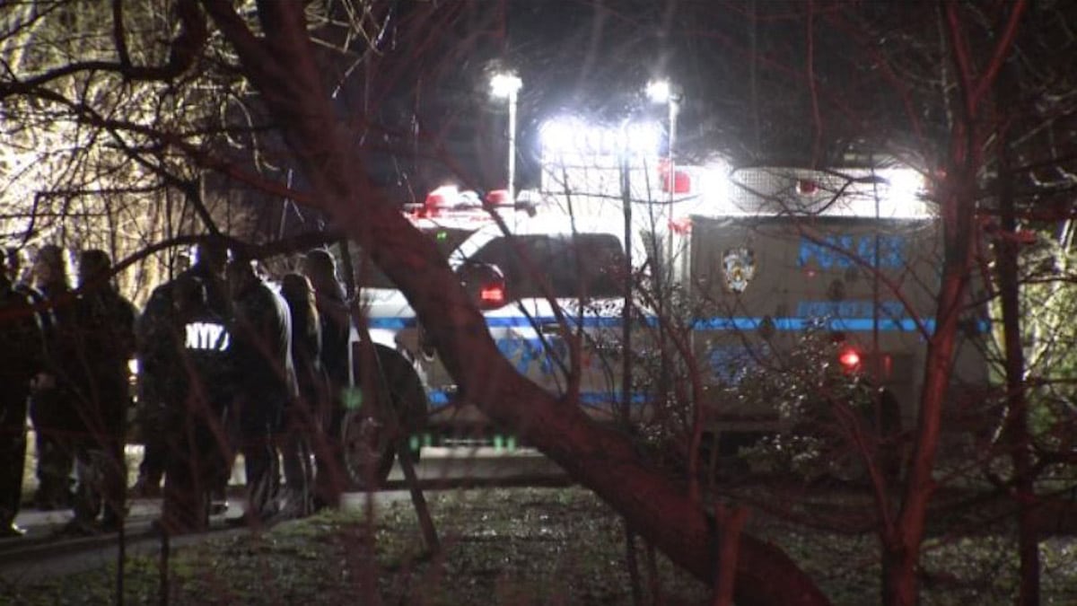 Canarsie Park woman’s dismembered body found