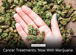 Treating Cancer with marijuana