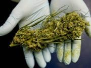 5 Ways Marijuana Can Help Treating Cancer. Treating Cancer with marijuana1