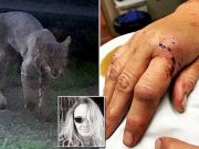 ‘I wasn’t dying today’ Hart County grandma strangles rabid rabid bobcat with bare hands DeDe Phillips
