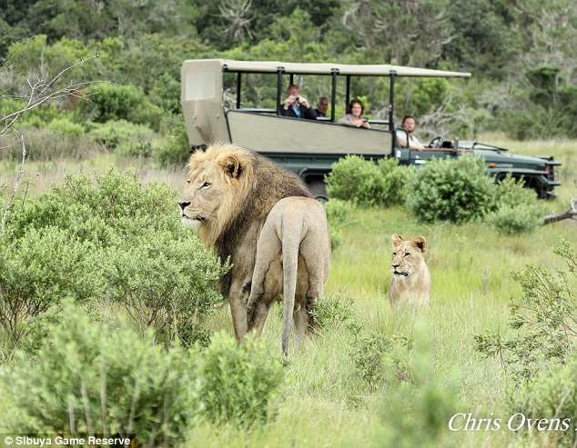 Sibuya Game Reserve poachers mauled 