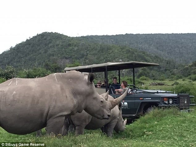 Sibuya Game Reserve poachers mauled 