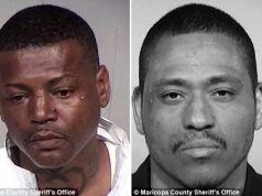 Melvin Harris