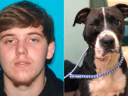 Missouri teen shoots dog in face cause he had no time for vet Harley Mobley