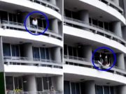 Panama selfie death: Mom plunges from 27th floor after losing balance Sandra Manuela Da Costa Macedo