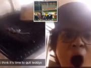 Honolulu burger joint shuts down after workers grilling rat video (goes viral) Teddy’s Bigger Burgers rodent rat
