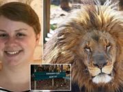 How? College graduate worker mauled to death by escaped lion at North Carolina zoo Alexandra Black