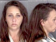 Georgia woman arrested (hiding in closet) after hit and run that killed man walking dog Sandy Wilson
