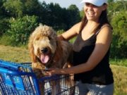 Wyoming mom drowns trying to save dog (that survived). Tracy Cashman