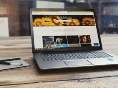 Build Your Own Professional Website