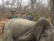 ‘It’s not fair’ Georgia hunter complains after dead elephant photo on Facebook threats Mike Jines