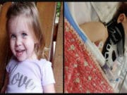 2 year old Tennessee girl on life support after stray bullet hits her- gun range nearby. Ariel Salaices,