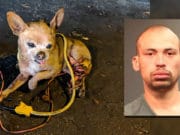 Homeless man tortured Chihuahua dog by using it as ‘soccer ball’ Jose Manuel Pantoja