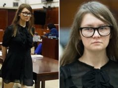 Anna Sorokin guilty