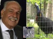 Cassowary bird that killed Florida man to be sold at auction