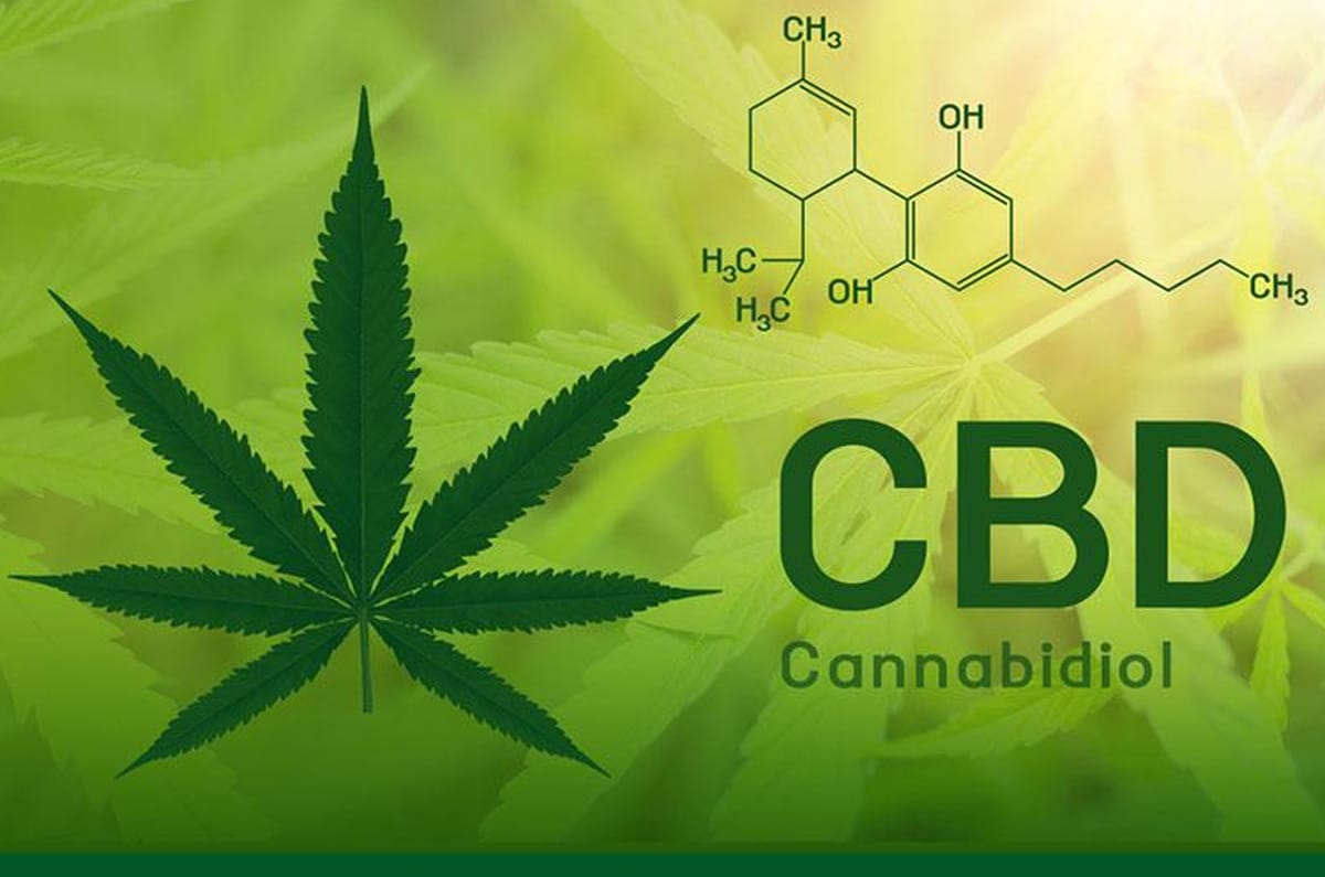 CBD Guide Weight Loss