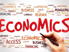 Economics Essay Writing Service