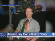 Watch: Retired optometrist dies from Maui shark attack (was swimming 60 yards from shore) Thomas Smiley shark attack