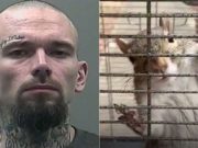 Alabama man fed ‘attack squirrel’ meth to keep it permanently aggressive Mickey Paulk Alabama meth attack squirrel