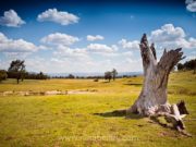 Escape to the country: why getting out of the city is good for you Australia Country Getaways