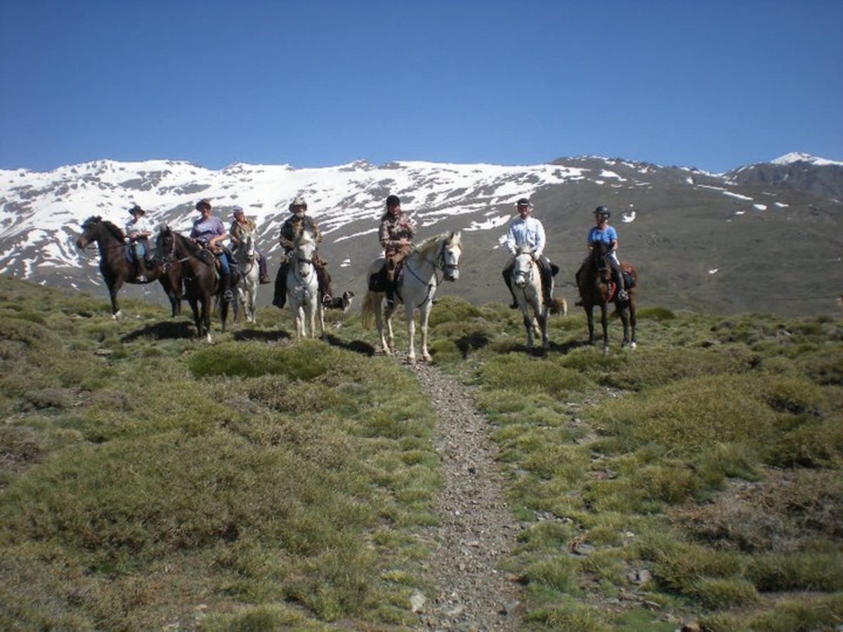 Equestrian destinations
