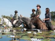 Horsing Around: 5 Destinations Perfect for Keen Equestrians Equestrian Destinations