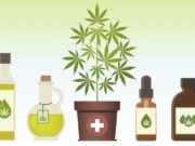 CBD Oil for Pain Management CBD Oil for Pain Management