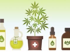 CBD Oil for Pain Management