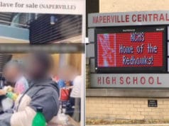 Naperville craigslist slave for sale