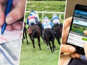 Horse Racing for Dummies Horse Racing Betting