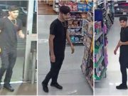 Elias Flor Winter Haven Walmart