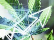 All About the Hottest Marijuana Stocks Marijuana Stock Investments
