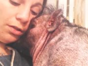 Illinois sanctuary owner charged in intentional death of 700 pets