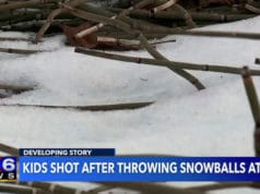 Milwaukee driver shoots 2 teens who threw snowballs at his car