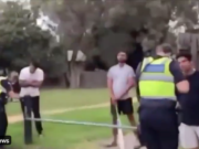 $1652 backyard cricket
