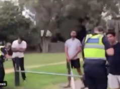 $1652 backyard cricket