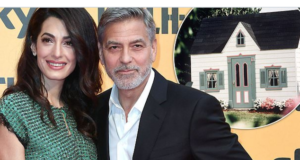 George and Amal Clooney twins playhouse
