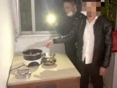 Chinese man steals black swan from park