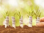Offline Marketing Tips for Startups Offline Marketing Tips